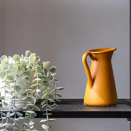 Apartment Waimea - Sea Views South Bay Free Parking Scarborough